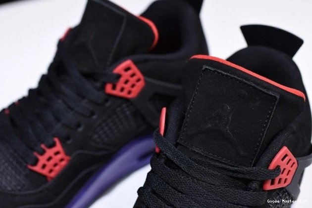 Raptors